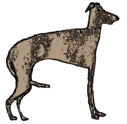Lévrier